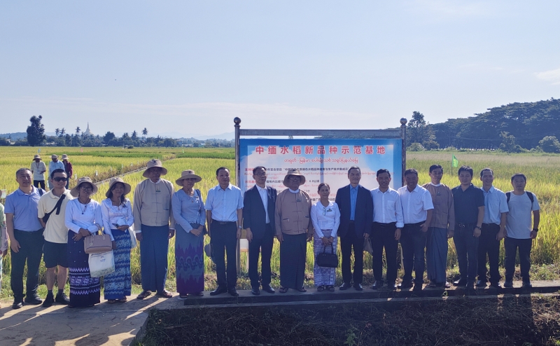 1763340295724085603.jpg 1761821540613-ys.jpg